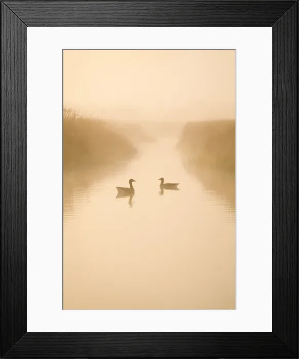 Framed Print : Picture No. 10893205 Framed Print : Picture No. 10893205