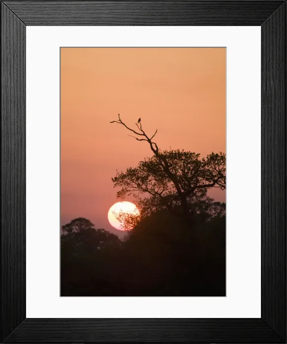 Framed Print : Picture No. 10893211 Framed Print : Picture No. 10893211