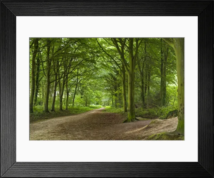 Framed Print : Picture No. 10893212 Framed Print : Picture No. 10893212