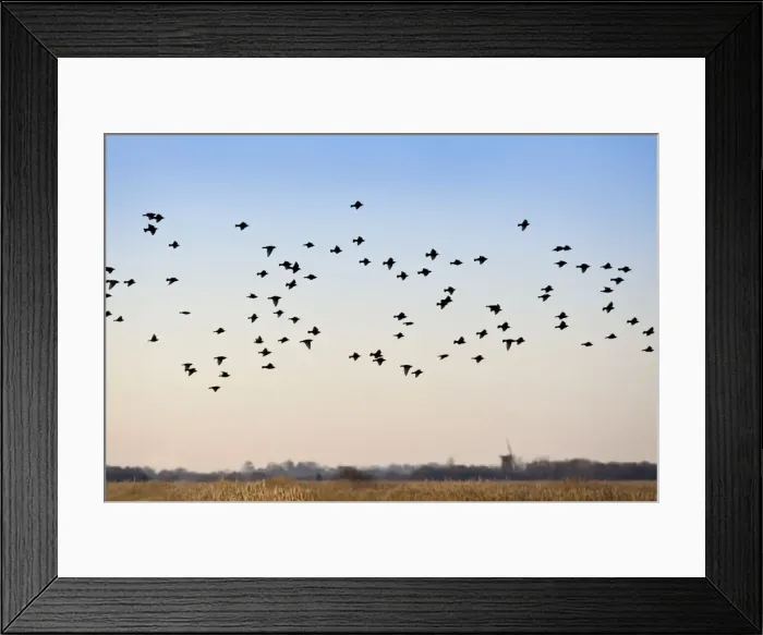 Framed Print : Picture No. 10893233 Framed Print : Picture No. 10893233