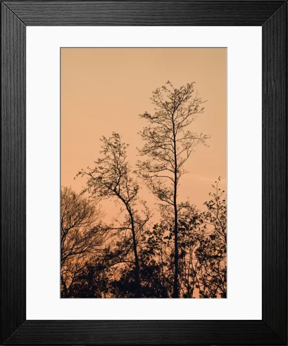 Framed Print : Picture No. 10893229 Framed Print : Picture No. 10893229
