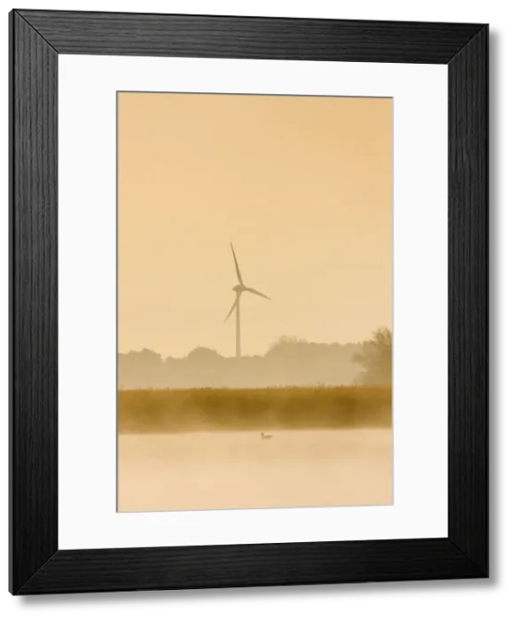 Framed Print : Picture No. 10893239 Framed Print : Picture No. 10893239