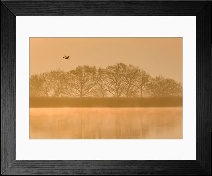 Framed Print : Picture No. 10893245 Framed Print : Picture No. 10893245