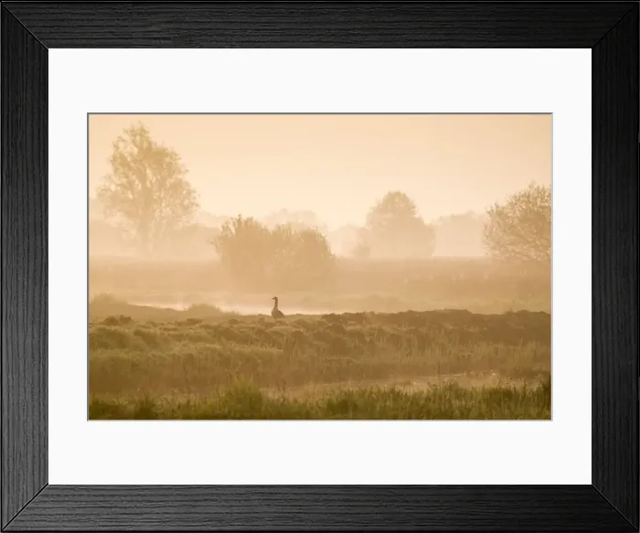 Framed Print : Picture No. 10893249 Framed Print : Picture No. 10893249