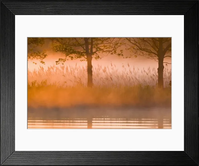 Framed Print : Picture No. 10893256 Framed Print : Picture No. 10893256