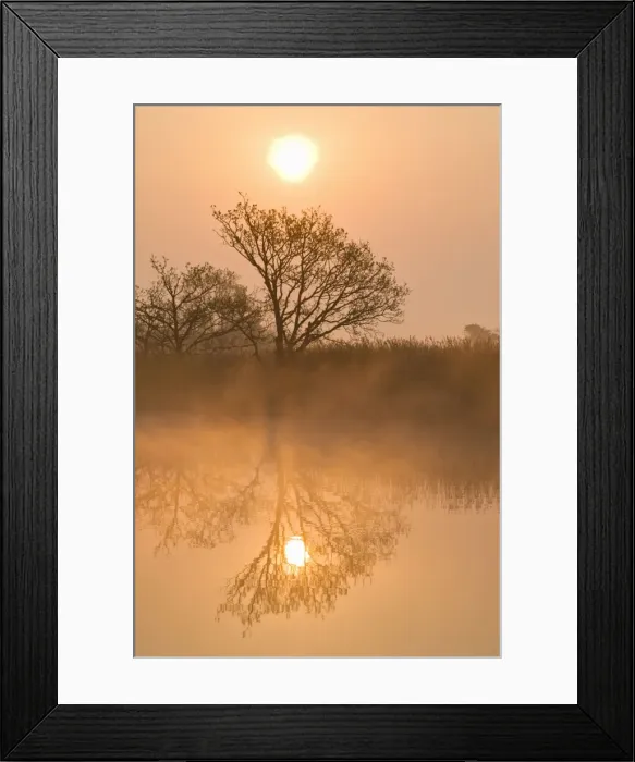 Framed Print : Picture No. 10893253 Framed Print : Picture No. 10893253