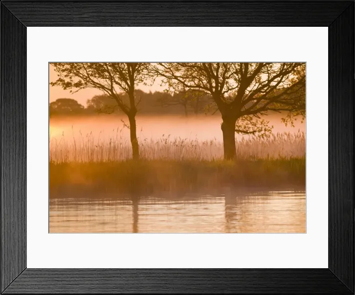 Framed Print : Picture No. 10893257