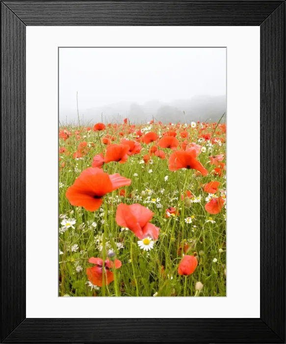 Framed Print : Picture No. 10893271 Framed Print : Picture No. 10893271