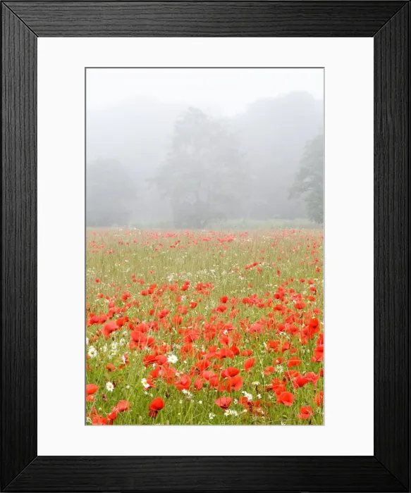 Framed Print : Picture No. 10893268 Framed Print : Picture No. 10893268