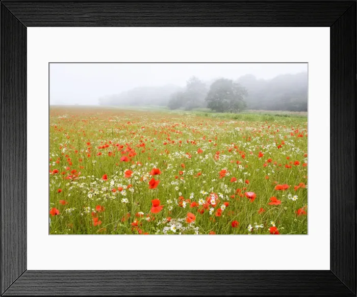 Framed Print : Picture No. 10893275 Framed Print : Picture No. 10893275
