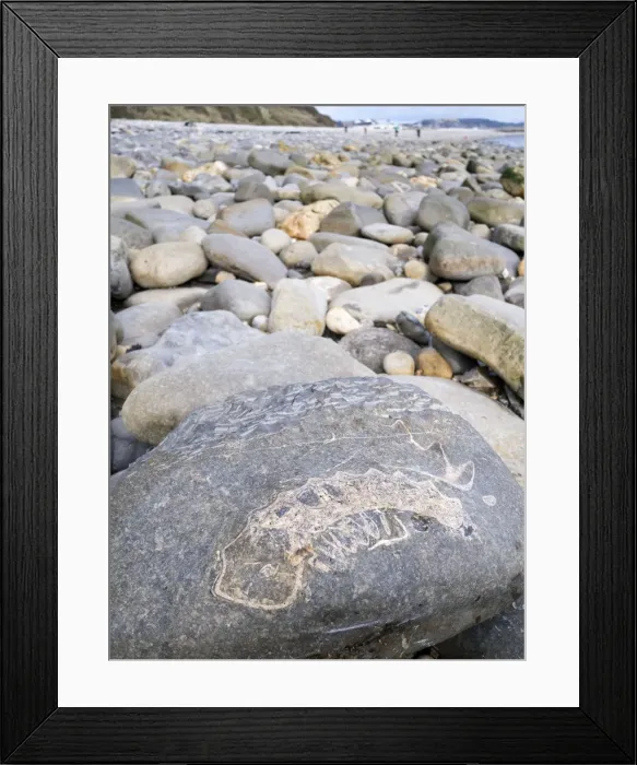 Framed Print : Picture No. 10893289 Framed Print : Picture No. 10893289