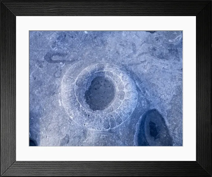 Framed Print : Picture No. 10893294 Framed Print : Picture No. 10893294