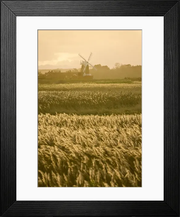 Framed Print : Picture No. 10893297 Framed Print : Picture No. 10893297