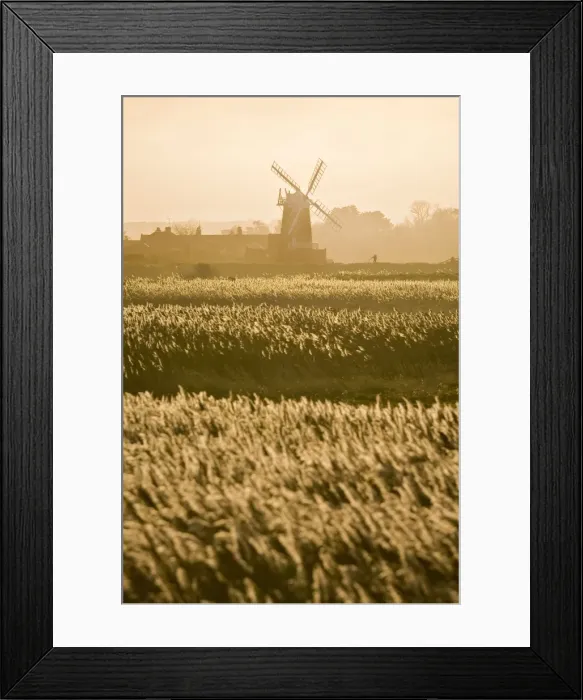Framed Print : Picture No. 10893298 Framed Print : Picture No. 10893298