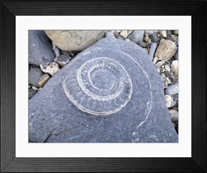 Framed Print : Picture No. 10893290 Framed Print : Picture No. 10893290