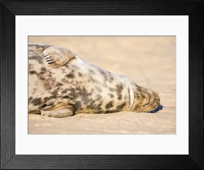 Framed Print : Picture No. 10893303 Framed Print : Picture No. 10893303