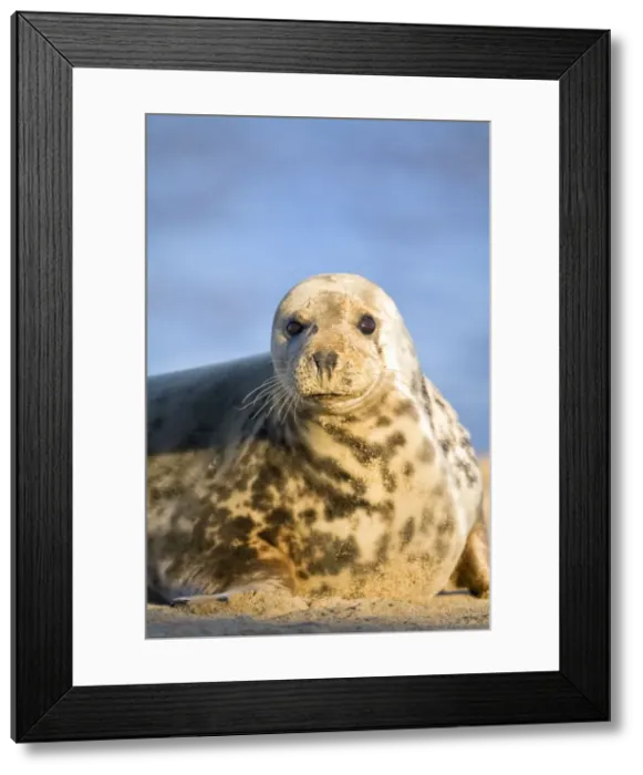 Framed Print : Picture No. 10893305 Framed Print : Picture No. 10893305