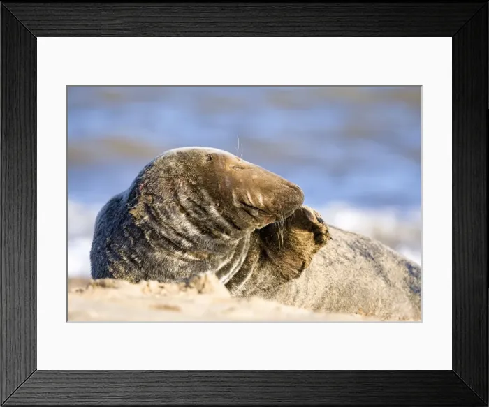 Framed Print : Picture No. 10893302 Framed Print : Picture No. 10893302