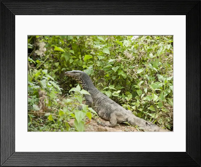 Framed Print : Picture No. 10893387 Framed Print : Picture No. 10893387