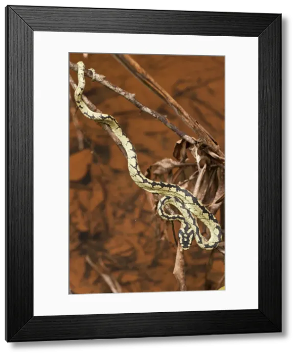 Framed Print : Picture No. 10893388 Framed Print : Picture No. 10893388