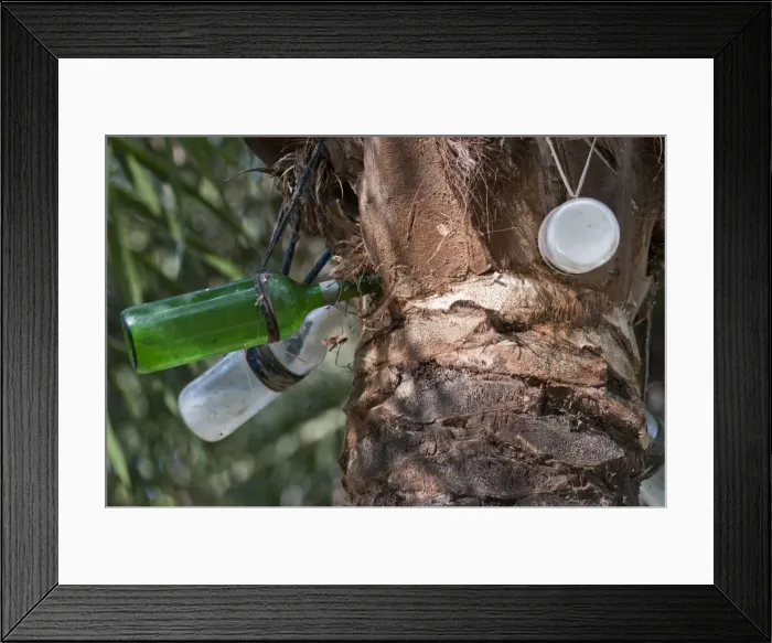 Framed Print : Picture No. 10893438 Framed Print : Picture No. 10893438