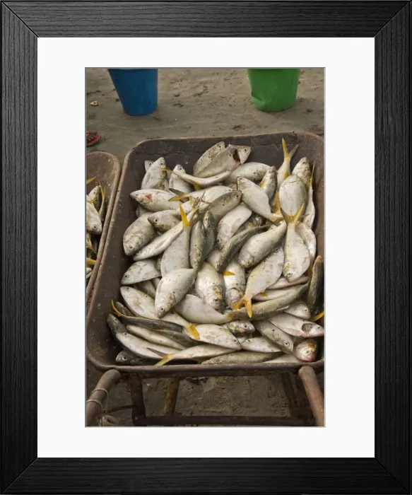 Framed Print : Picture No. 10893434 Framed Print : Picture No. 10893434
