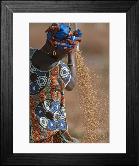 Framed Print : Picture No. 10893448 Framed Print : Picture No. 10893448