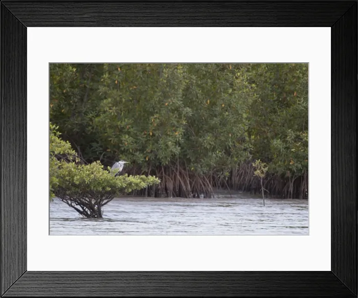 Framed Print : Picture No. 10893445 Framed Print : Picture No. 10893445