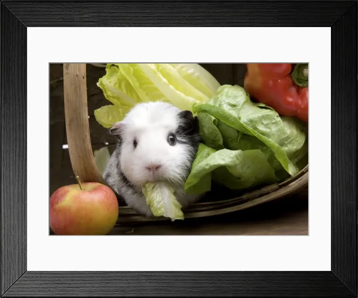 Framed Print : Picture No. 10893582 Framed Print : Picture No. 10893582