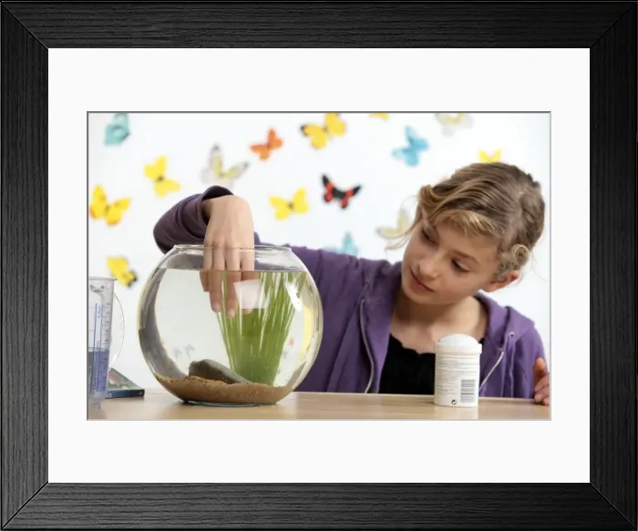Framed Print : Picture No. 10893588 Framed Print : Picture No. 10893588