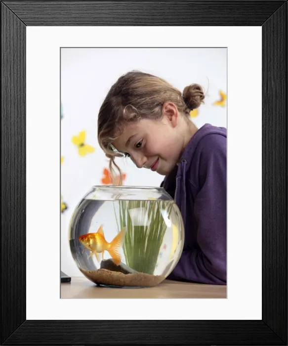 Framed Print : Picture No. 10893590 Framed Print : Picture No. 10893590