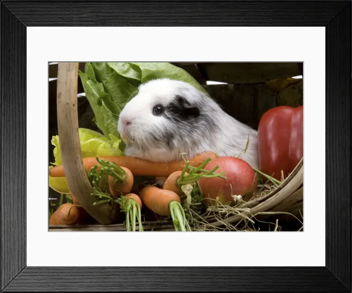 Framed Print : Picture No. 10893583 Framed Print : Picture No. 10893583