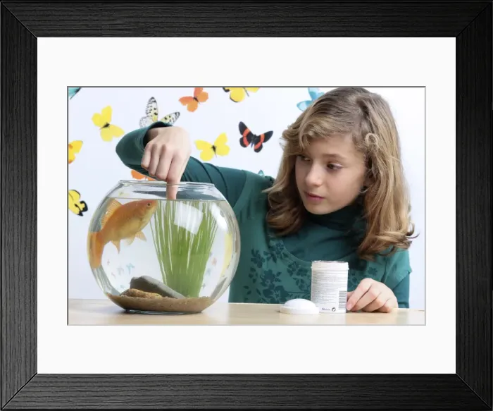 Framed Print : Picture No. 10893592 Framed Print : Picture No. 10893592