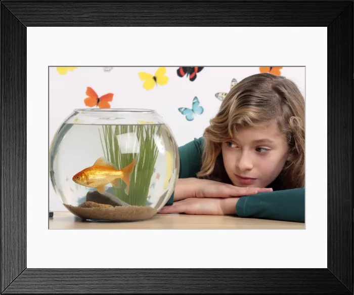 Framed Print : Picture No. 10893591 Framed Print : Picture No. 10893591