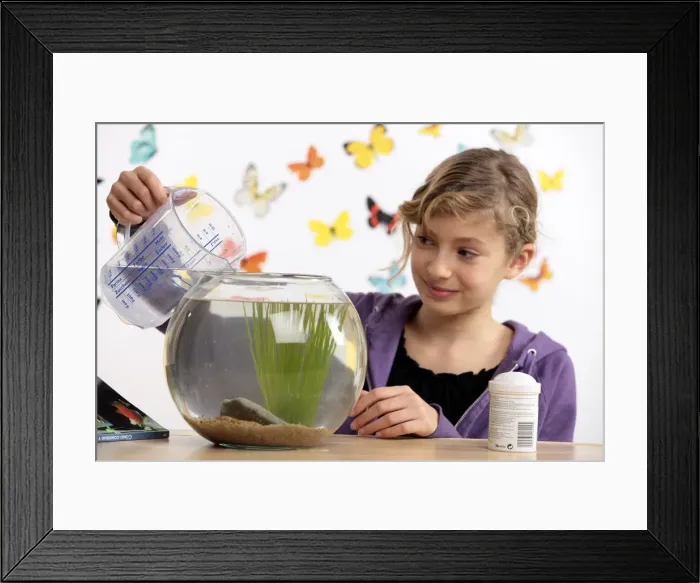 Framed Print : Picture No. 10893589 Framed Print : Picture No. 10893589