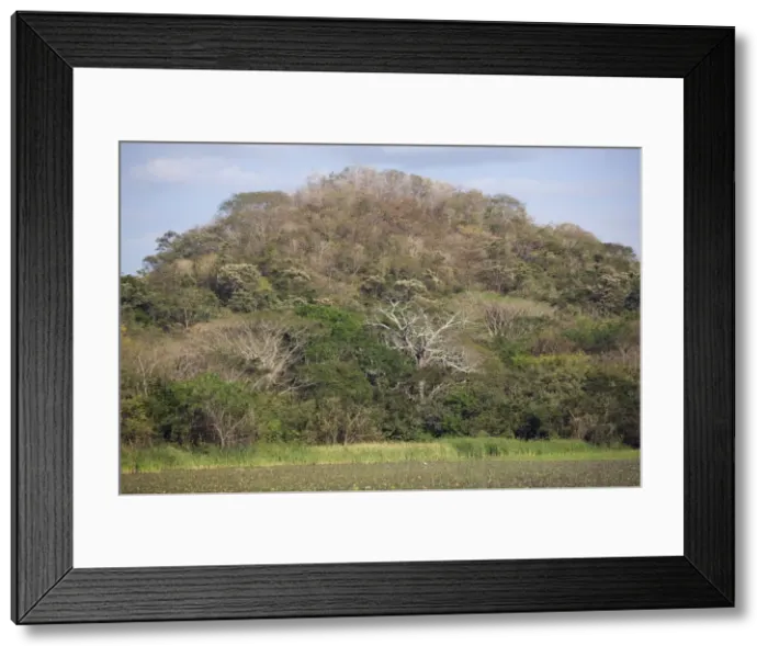 Framed Print : Picture No. 10893607 Framed Print : Picture No. 10893607
