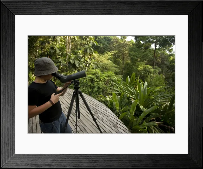 Framed Print : Picture No. 10893618 Framed Print : Picture No. 10893618