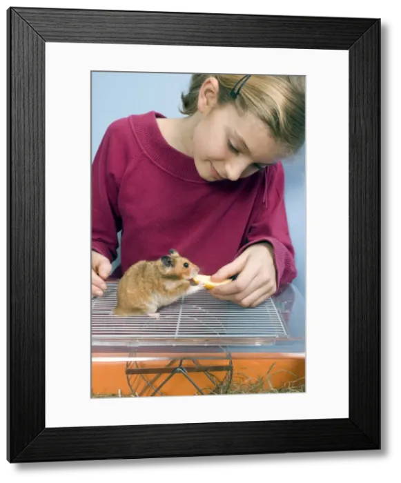 Framed Print : Picture No. 10893622 Framed Print : Picture No. 10893622