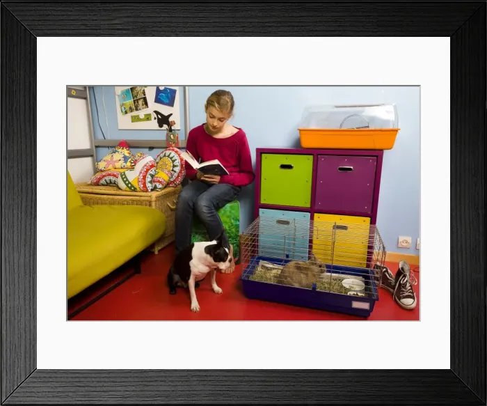 Framed Print : Picture No. 10893629