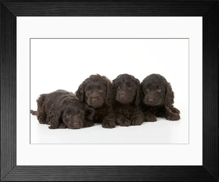 Framed Print : Picture No. 10892553 Framed Print : Picture No. 10892553