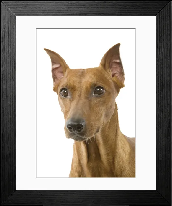 Framed Print : Picture No. 10892755 Framed Print : Picture No. 10892755