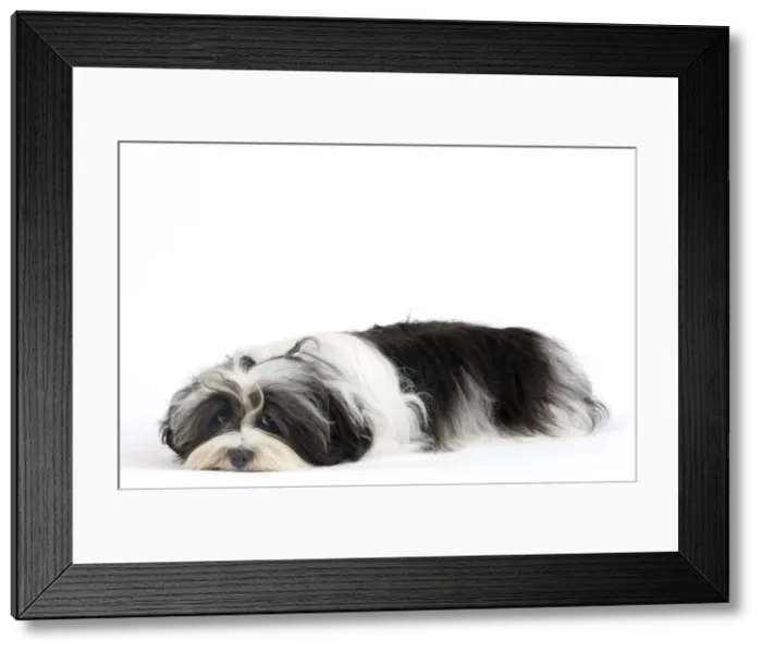 Framed Print : Picture No. 10893702 Framed Print : Picture No. 10893702