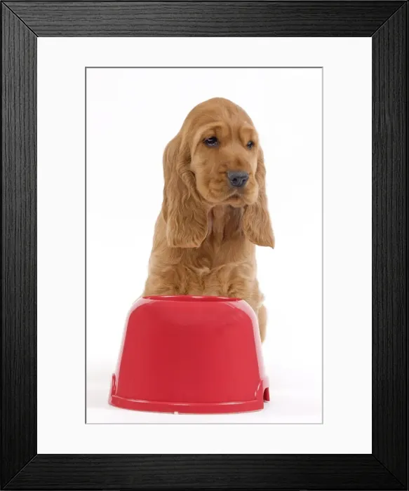 Framed Print : Picture No. 10893712 Framed Print : Picture No. 10893712