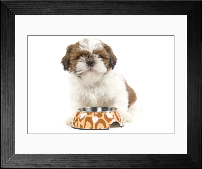 Framed Print : Picture No. 10893711