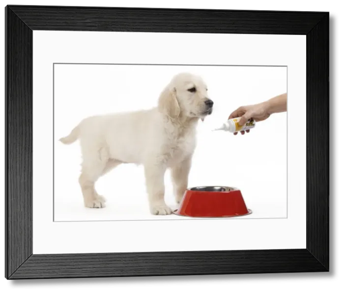 Framed Print : Picture No. 10893718 Framed Print : Picture No. 10893718