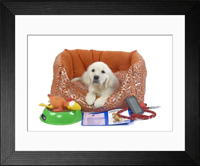 Framed Print : Picture No. 10893715 Framed Print : Picture No. 10893715