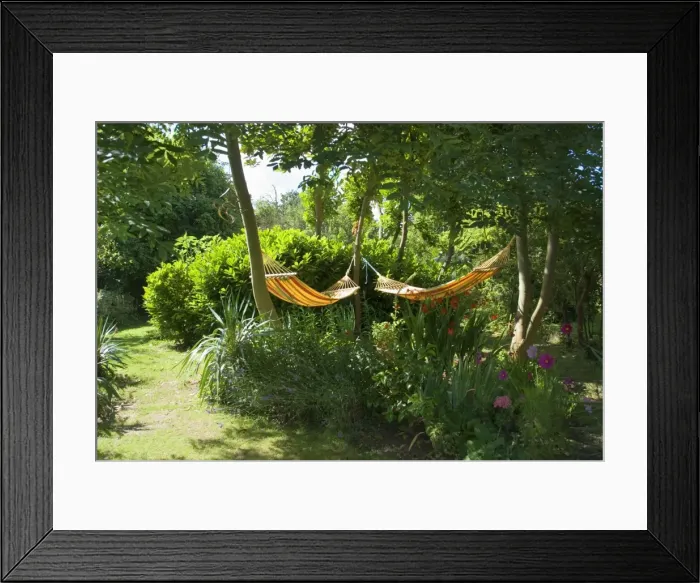 Framed Print : Picture No. 10893750
