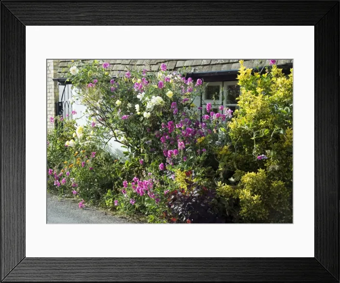 Framed Print : Picture No. 10893749 Framed Print : Picture No. 10893749