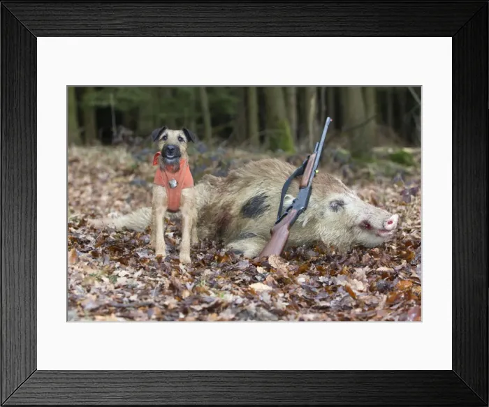 Framed Print : Picture No. 10893840 Framed Print : Picture No. 10893840