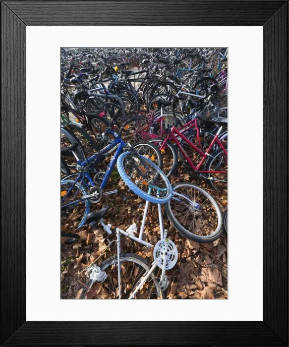 Framed Print : Picture No. 10893844 Framed Print : Picture No. 10893844
